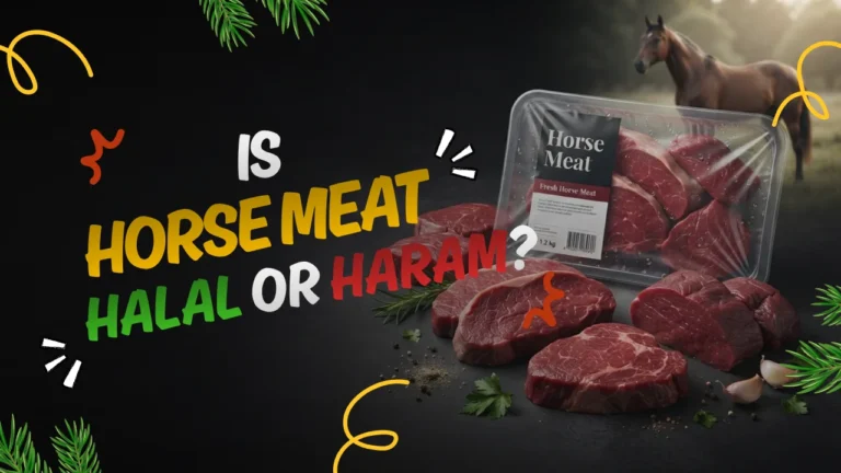 Is Horse Meat Halal?
